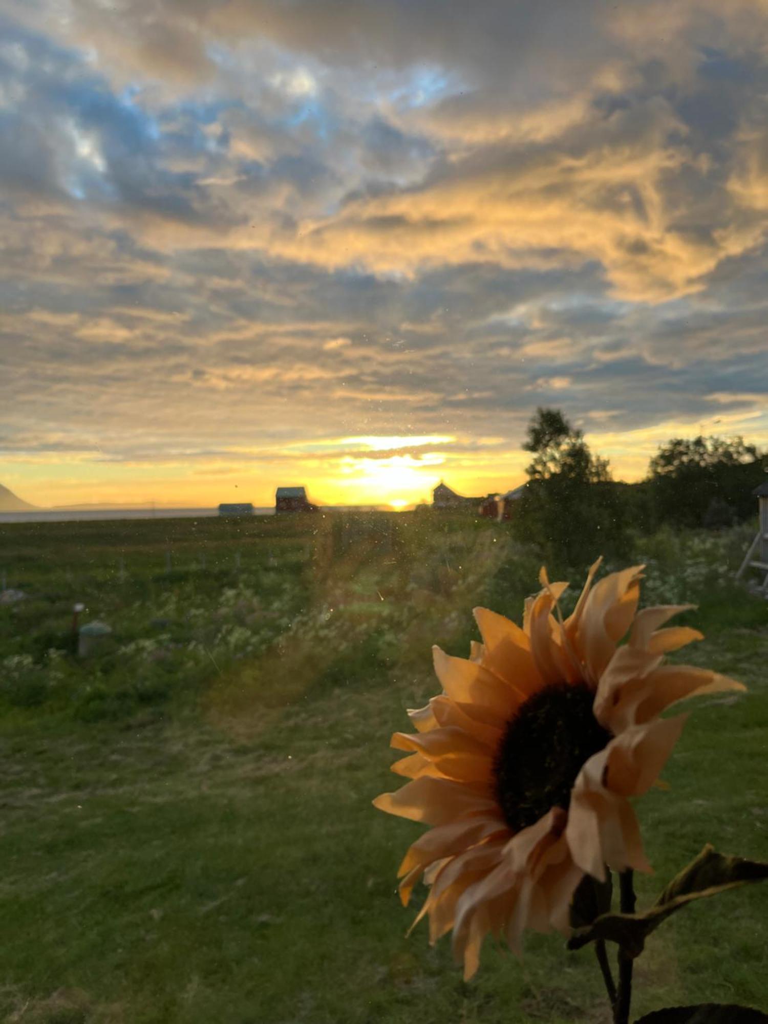 Hos Laura & Valdemar Villa Nord-Lenangen Екстериор снимка